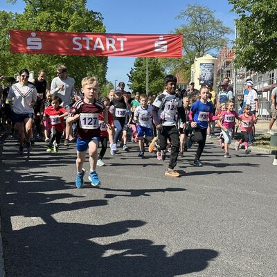 &Uuml;ber 400 und 800 Meter f&uuml;hrten die Bambinil&auml;ufe in den Altersklassen U6 und U8. 1200 Meter liefen die Kinder der Altersklassen U10 und U12.