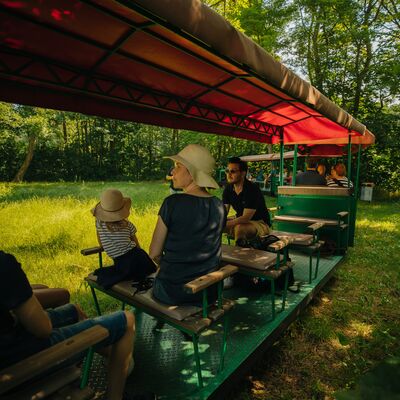 Ein Mann, eine Frau mit Strohhut und ein junges M&auml;dchen mit Strohhut sitzen in einer &uuml;berdachten Bahn.
