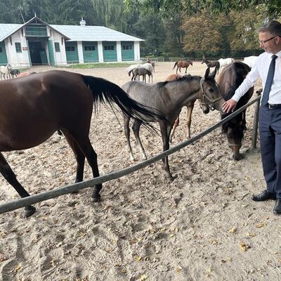 Ein Mann mit Anzug, Krawatte und wei&szlig;em Hemd streichelt ein Pferd. Im Hintergrund zwei weitere M&auml;nner.