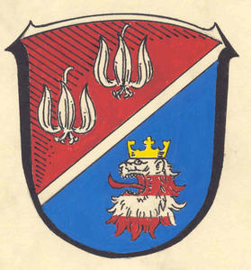 Wappen des Vogelsbergkreises